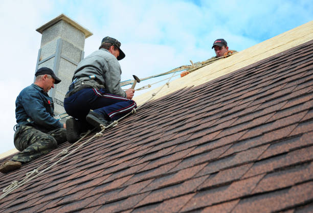 Best Roof Maintenance Services  in Orange Blossom, CA